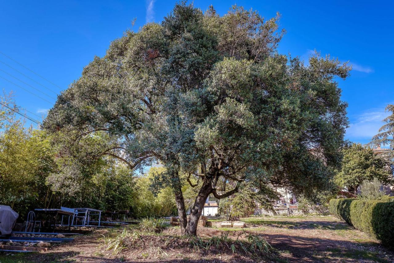 B&B En Provence- Villa Saint Marc Forcalquier Buitenkant foto
