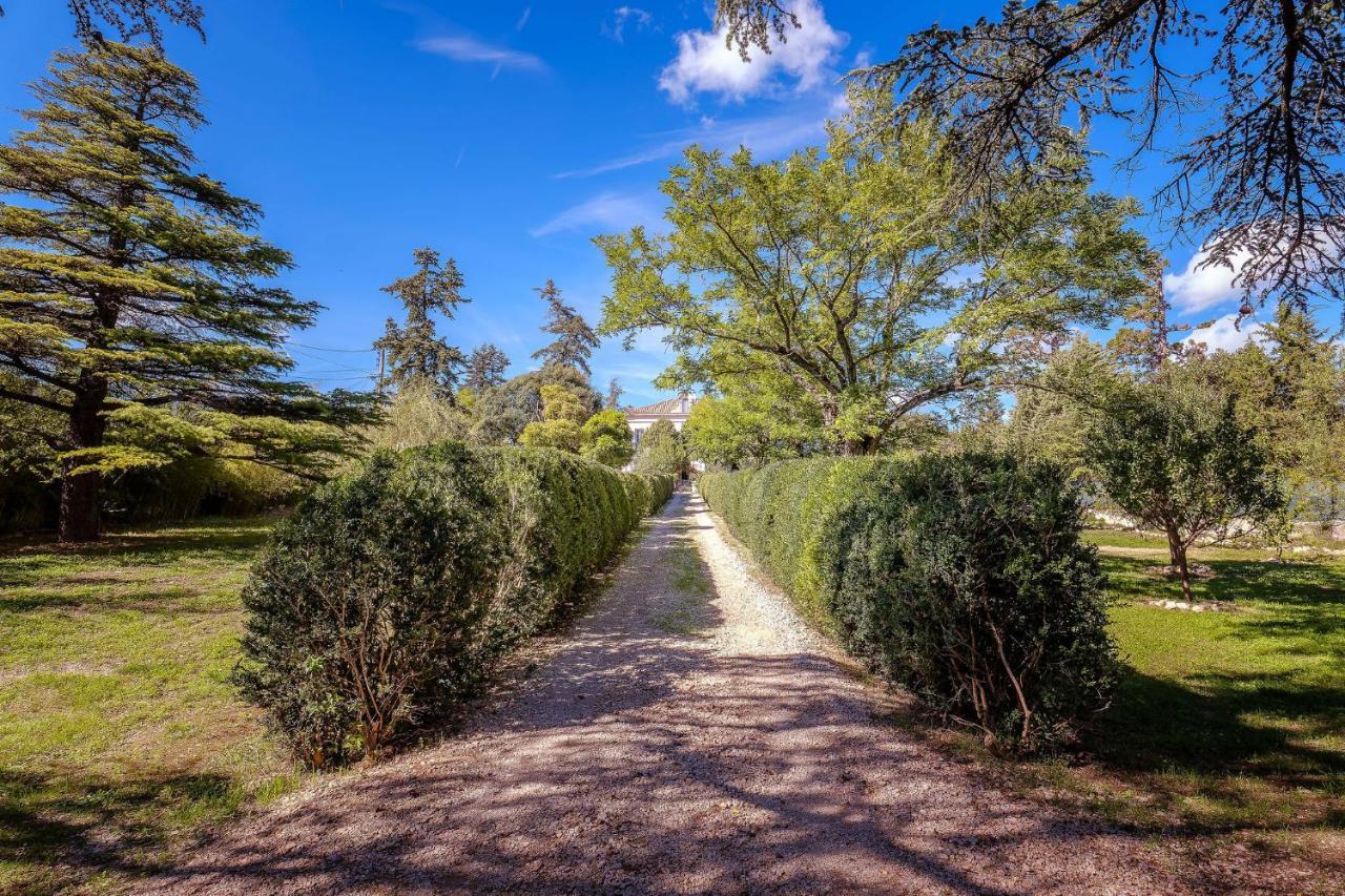 B&B En Provence- Villa Saint Marc Forcalquier Buitenkant foto