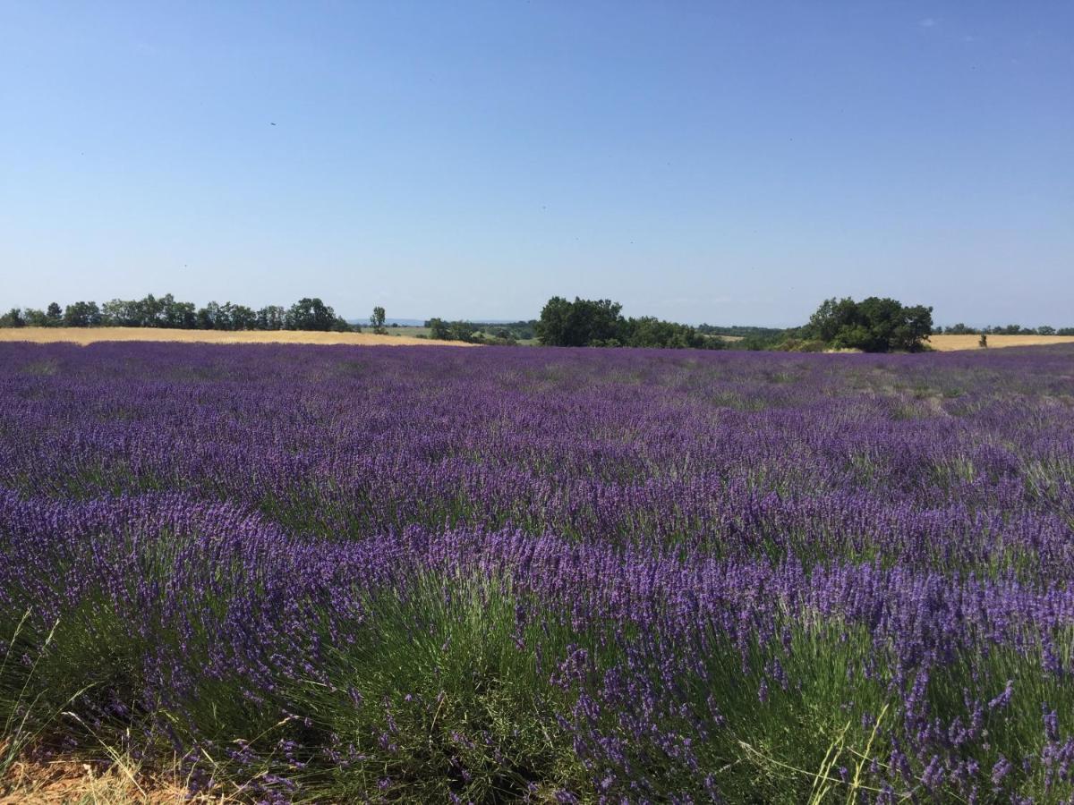 B&B En Provence- Villa Saint Marc Forcalquier Buitenkant foto
